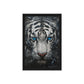 Blue Eyed Tiger Art Digital Print