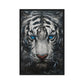 Blue Eyed Tiger Fraemd Canvas