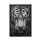Blue Eyed Tiger Fraemd Canvas