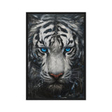 Blue Eyed Tiger Fraemd Canvas