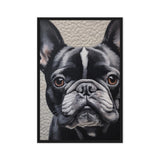 Cute French Bulldog Framed Canvas