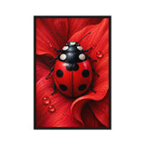 A red and black ladybug rests on a curled red flower petal dotted with water droplets; front view in a black frame, 24 x 36 in canvas