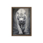 White Tiger Framed Canvas