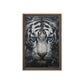 Blue Eyed Tiger Fraemd Canvas