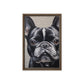 Cute French Bulldog Framed Canvas