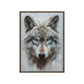 Blue Eyed Wolf Modern Art Framed Canvas
