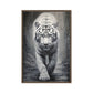White Tiger Framed Canvas