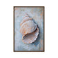Seashell Nautical Art Framed Canvas