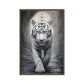 White Tiger Framed Canvas