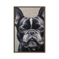 Cute French Bulldog Framed Canvas