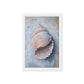 Seashell Nautical Art Framed Canvas