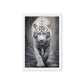 White Tiger Framed Canvas