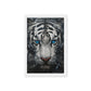Blue Eyed Tiger Fraemd Canvas