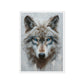 Blue Eyed Wolf Modern Art Framed Canvas