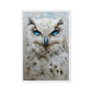 Blue Eyed White Owl Modern Art Framed Canvas