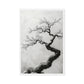 Sakura Wabi Sabi Art Framed Canvas